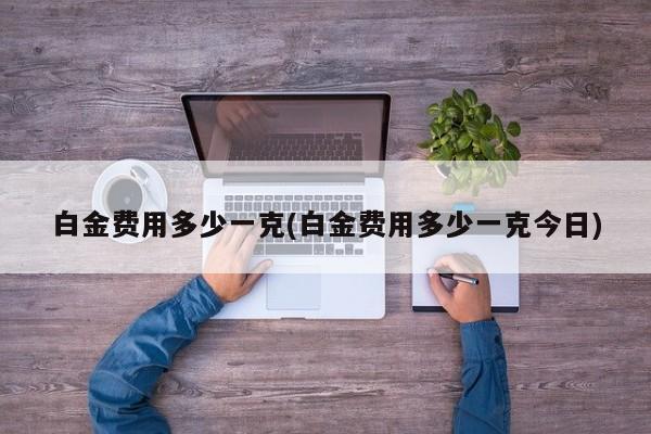 白金费用多少一克(白金费用多少一克今日)