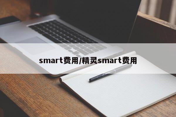 smart费用/精灵smart费用